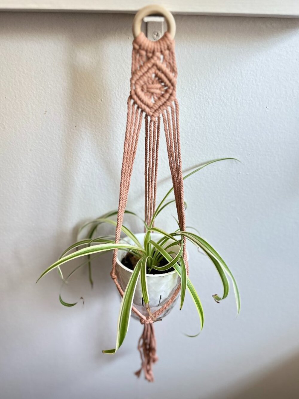 NEW Macrame Plant Hanger - Dusty Rose